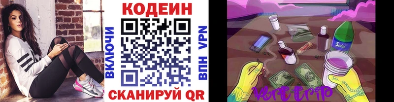 Codein Purple Drank  ОМГ ОМГ как войти  Бийск 