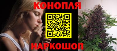 прущие крисы Можга