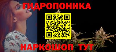 прущие крисы Можга
