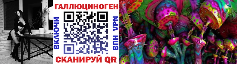 Псилоцибиновые грибы Cubensis Бийск