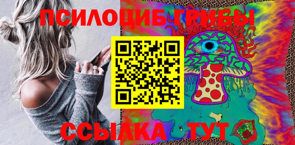 Псилоцибиновые грибы мицелий Бийск