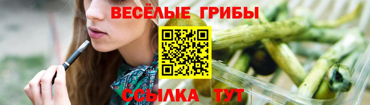 Псилоцибиновые грибы Psilocybine cubensis  Вход с VPN  Бийск 